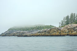 20080803-A055-F1-spider-island---rocky-shore-in-fog.jpg