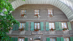 Bernese Farmhouse