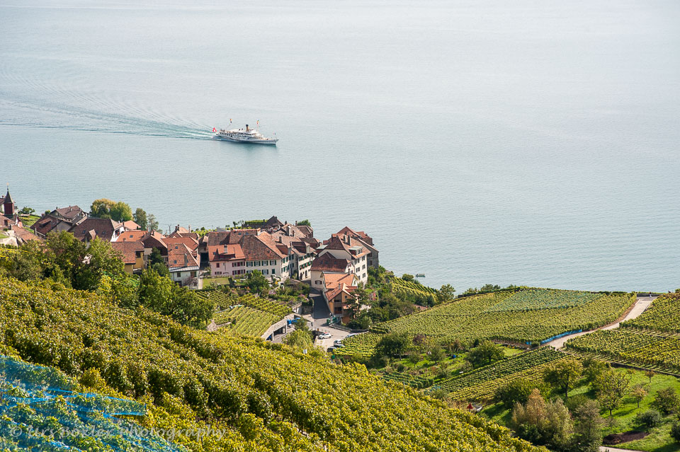 20100929-A070-lavaux---rivas.jpg