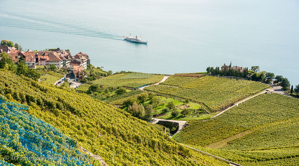 20100929-A072-lavaux---rivas.jpg