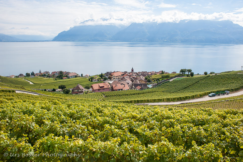 20100929-A073-lavaux---rivas.jpg